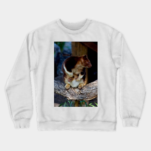 Roo Baby Crewneck Sweatshirt by GP1746